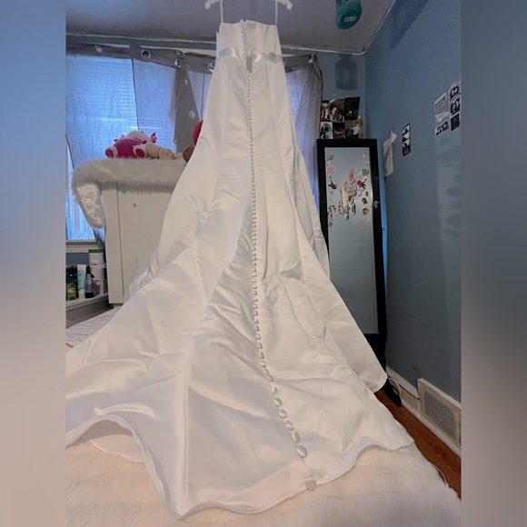 Wedding dress from David’s Bridal (with hanger). - Picture 8 of 8
